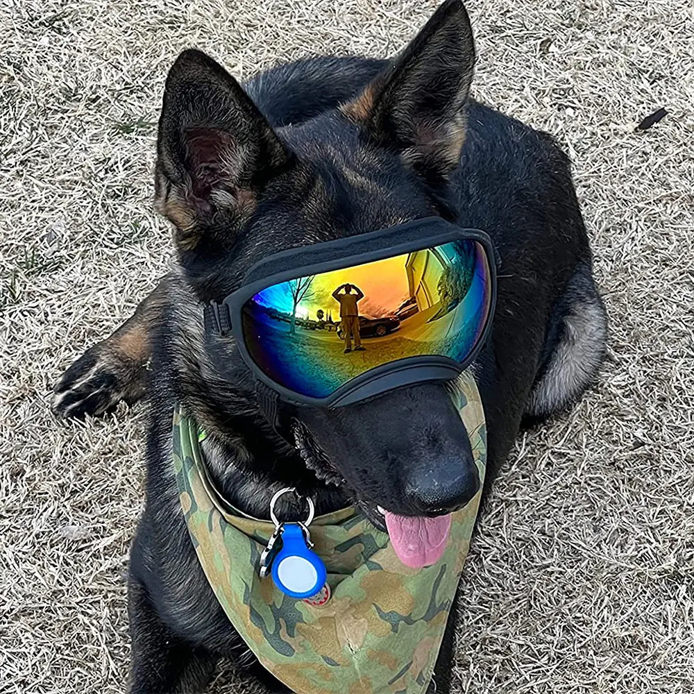 Dog Goggles Sunglasses Anti-Uv Sun Glasses Eyewear Protection #Summervibes #Petlovers Adjustable Windproof Sunglasses Pet Dog Supplies for Travel Outdoorfun