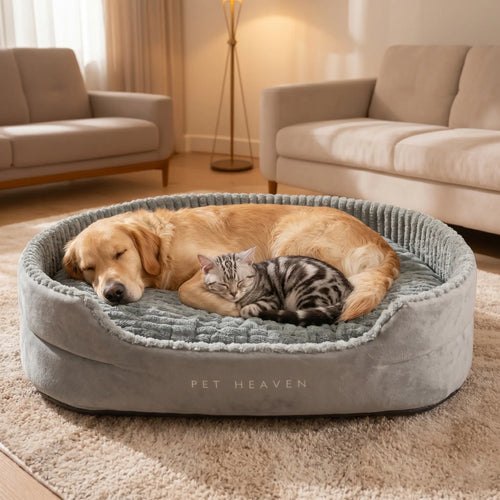 Small dog curled up inside plush orthopedic bolster pet nest bed