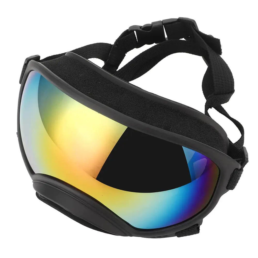 Dog goggles soft sponge frame and anti-fog polycarbonate lens detail