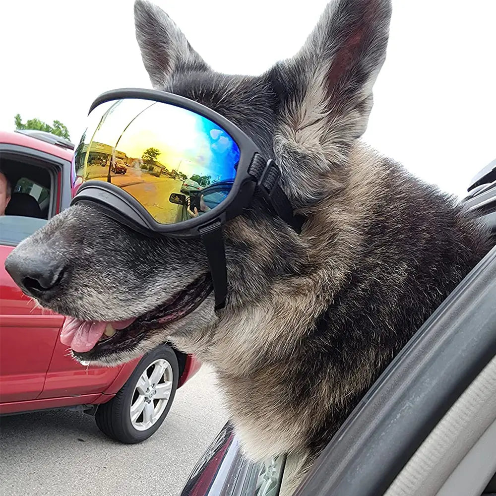 Dog goggles showing double silicone strap and dual air circulation vents