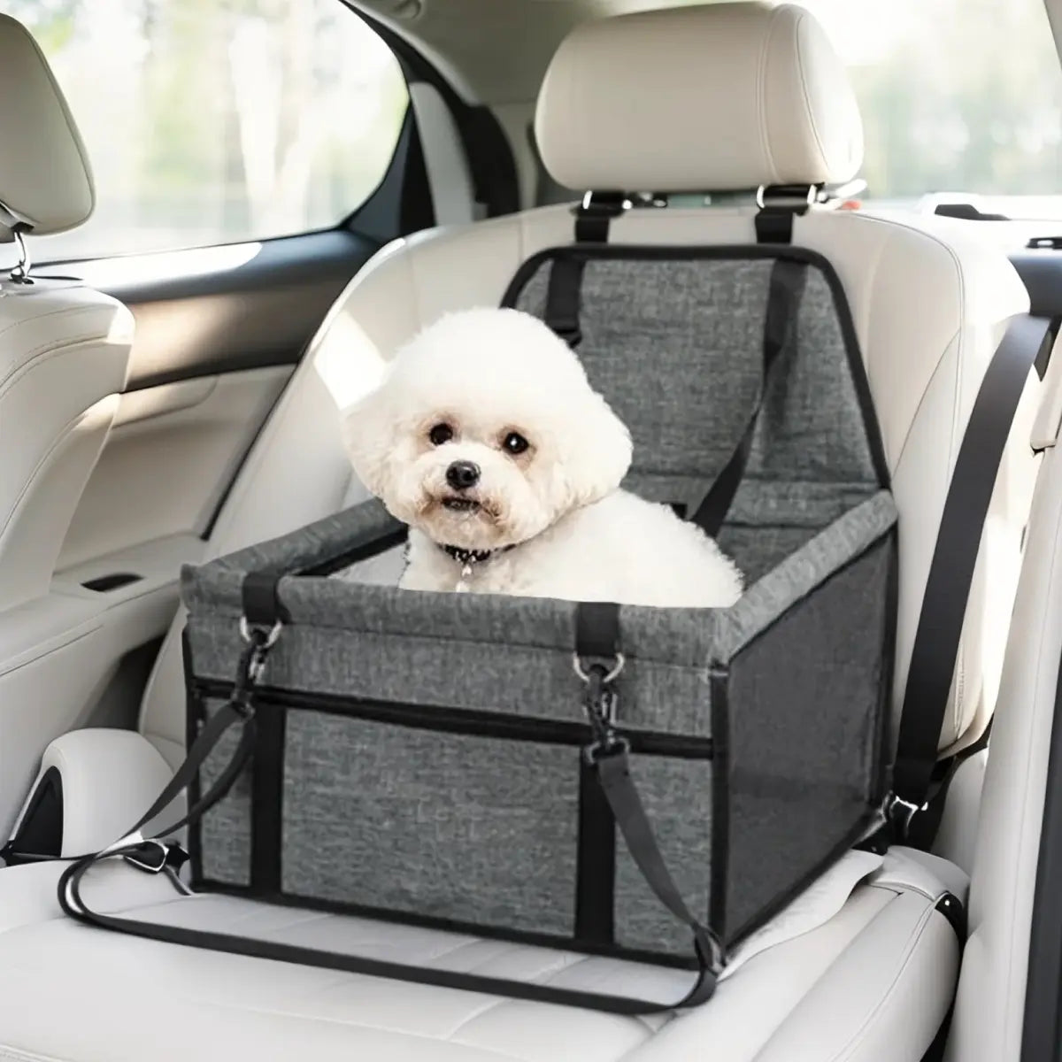 Small dog secured in pet car seat booster with safety tether attached