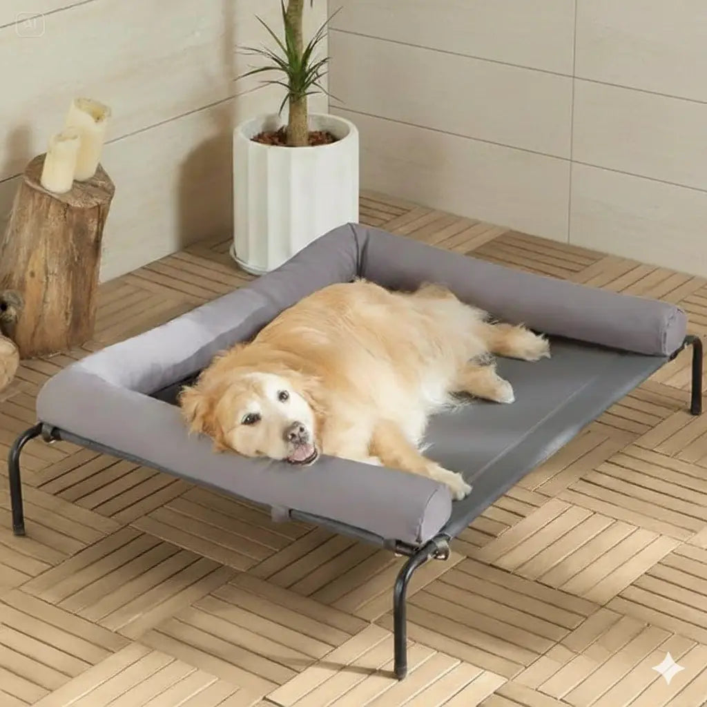 Large dog resting on raised elevated dog cot outdoors on patio