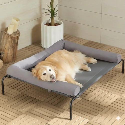 Large dog resting on raised elevated dog cot outdoors on patio