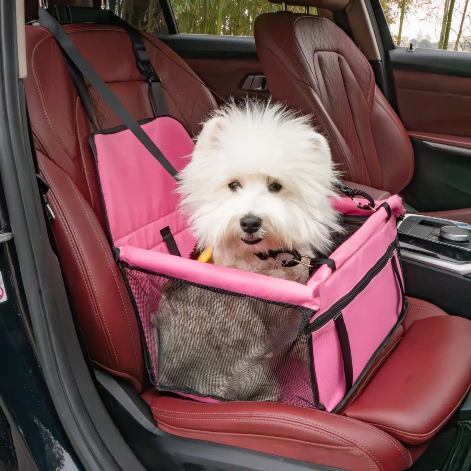 Pet car seat installed in car showing seatbelt strap attachment